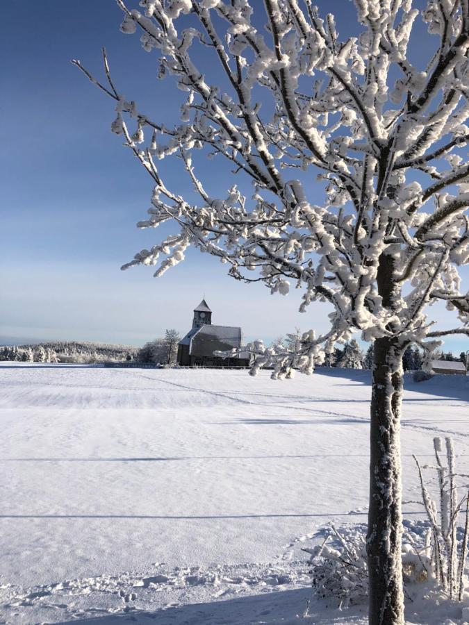 Ferienhaus Tooren Altenberg  Exteriör bild